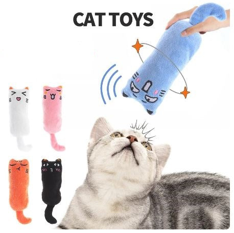 Cat Toy