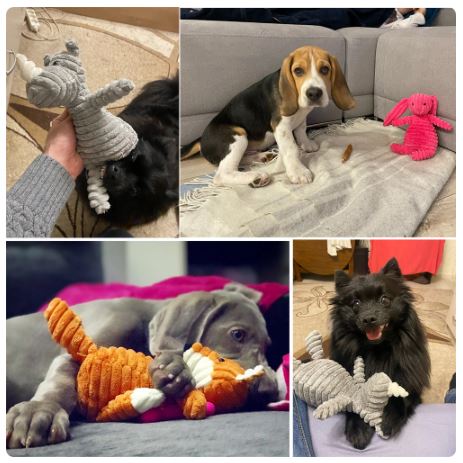 Dog Animals Toy