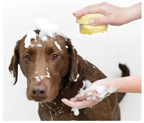 Dog Bathroom Brush