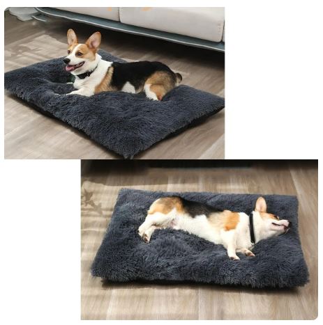 Dog Bed