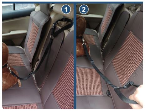 Dog Car Seat Belts