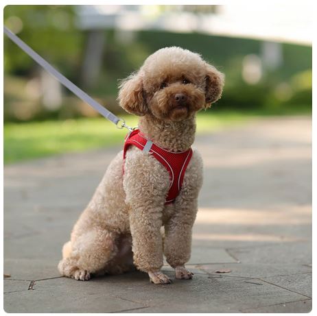 Dog Harness Vest with Leash