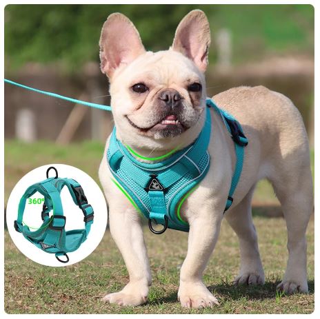 Dog Harness Vest