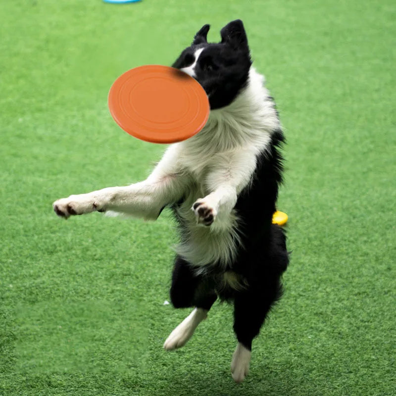 Dog Silicone Flying Saucer