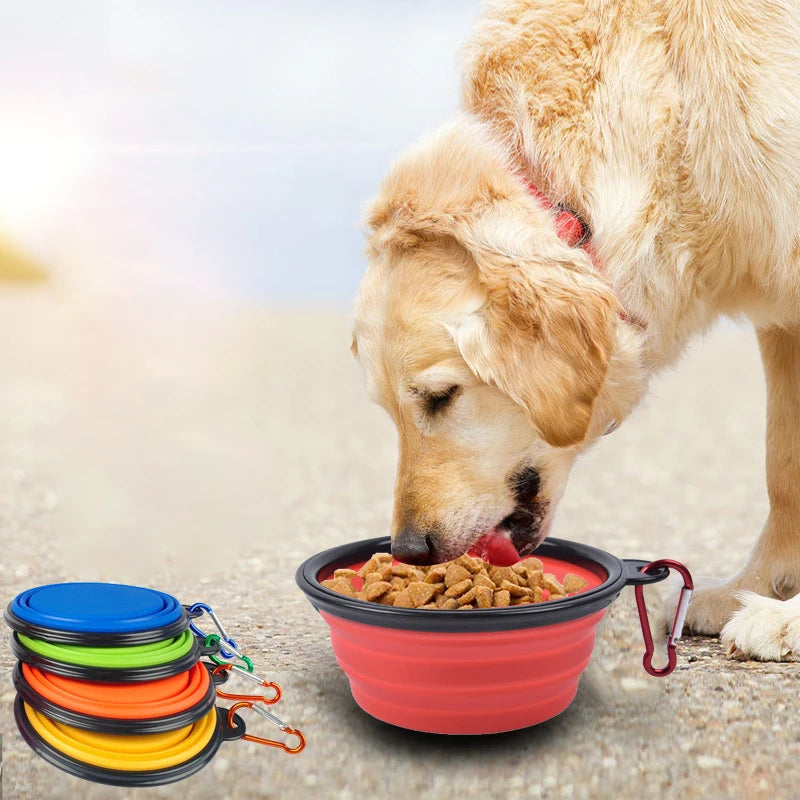 Dog Food Bowl